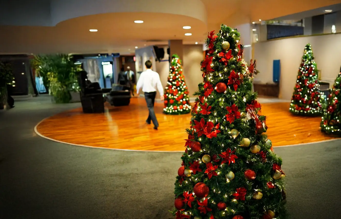 Entrée d’entreprise décorée pour Noël avec des sapins ornés de guirlandes lumineuses et de boules rouges, créant une ambiance festive et professionnelle.